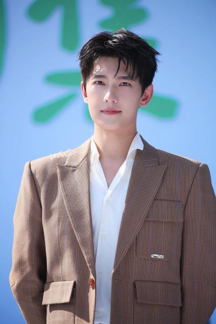 Từ Giả Bảo Ngọc, Tiêu Nại, Vu Đồ đến Hàn Lập, Dương Dương đã trải qua nhiều giai đoạn khác nhau trong hơn 15 năm diễn xuất.