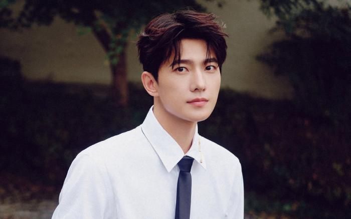 Xuất thân từ môi trường đào tạo vũ đạo, Dương Dương bước vào diễn xuất từ sớm với vai Giả Bảo Ngọc trong Tân Hồng Lâu Mộng.