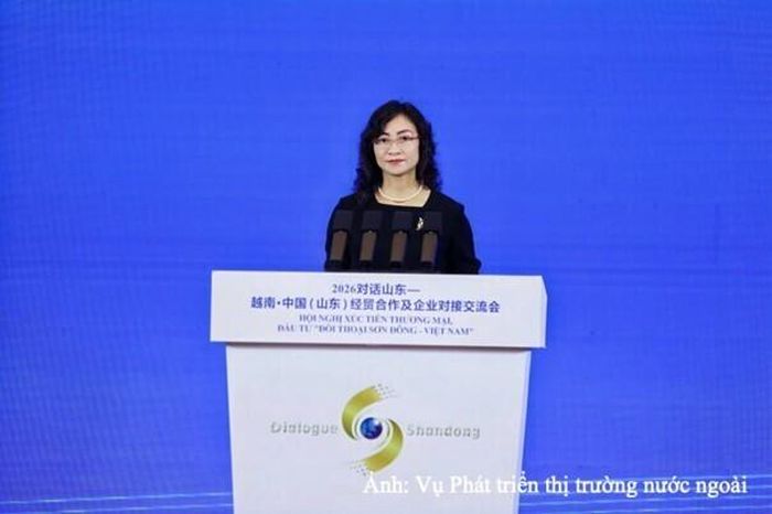 Thứ trưởng Bộ Công Thương Phan Thị Thắng tại hội nghị.