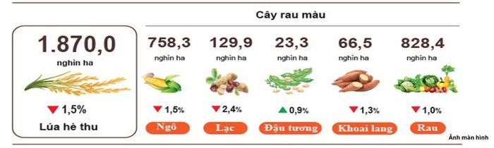 Diện tích gieo trồng một số cây hằng năm (tính đến ngày 20/8/2026).