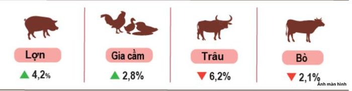 Tốc độ tăng, giảm số lượng gia súc, gia cầm cuối tháng 8/2026 so với cùng thời điểm năm trước.