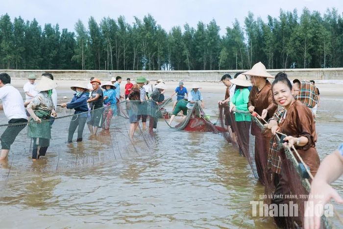 Trải nghiệm kéo rùng tại biển Hải Tiến.