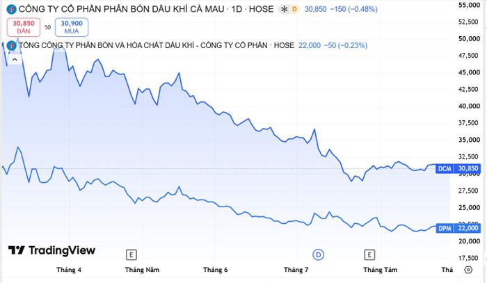  Diễn biến cổ phiếu DCM và DPM. 