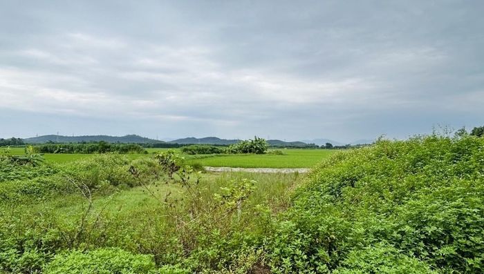 Ảnh minh họa: Thanh Xuân