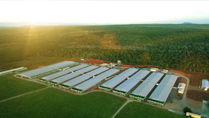 Một cụm trại của GREENFEED Việt Nam khu vực miền Trung.