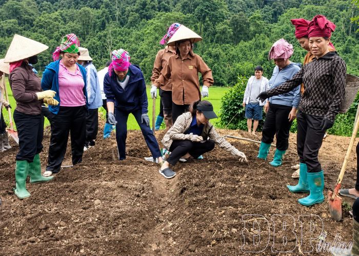 Hội Liên hiệp Phụ nữ xã Mường Nhà tổ chức tập huấn, hướng dẫn hội viên bản Xẻ kỹ thuật sản xuất nông nghiệp.