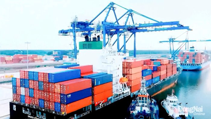 Hoạt động xếp dỡ hàng hóa, container tại Cảng Phước An, thành phố Đồng Nai. Ảnh: CTV
