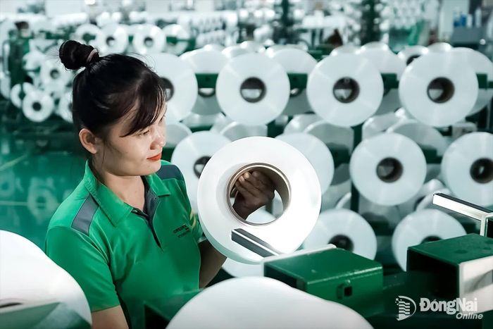 Hoạt động sản xuất tại doanh nghiệp ở thành phố Đồng Nai. Ảnh: Hương Giang