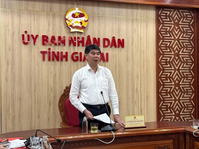 Phó Chủ tịch UBND tỉnh Lâm Hải Giang phát biểu kết luận tại cuộc họp. Ảnh: Bình Dương