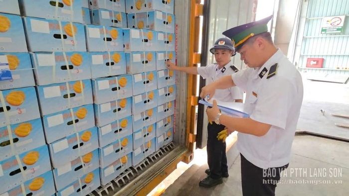 Cán bộ kiểm dịch thực vật kiểm tra hoa quả xuất khẩu qua cửa khẩu Chi Ma