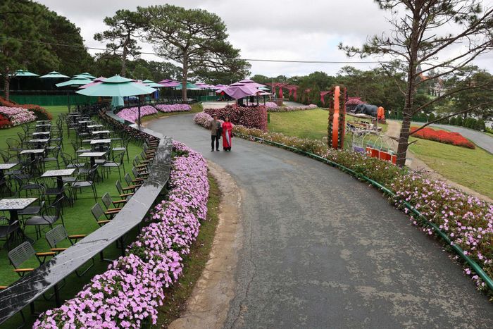 Nhiều không gian hoa mới, đẹp được đầu tư trang hoàng, thu hút du khách tại khu vực Trung tâm Đà Lạt