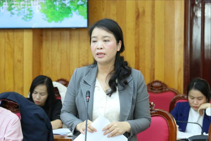 Giám đốc Sở Y tế Huỳnh Thị Phương Duyên dự báo tình trạng ngành Y tế trong thời gian tới nếu số biên chế sụt giảm