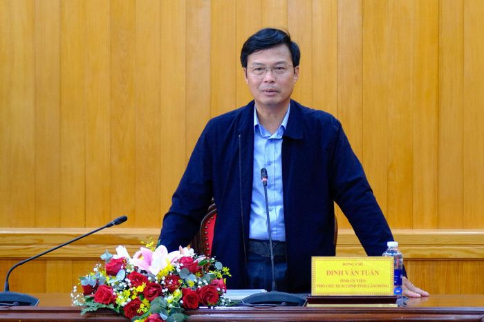 Phó Chủ tịch UBND tỉnh Đinh Văn Tuấn phát biểu kết luận buổi làm việc
