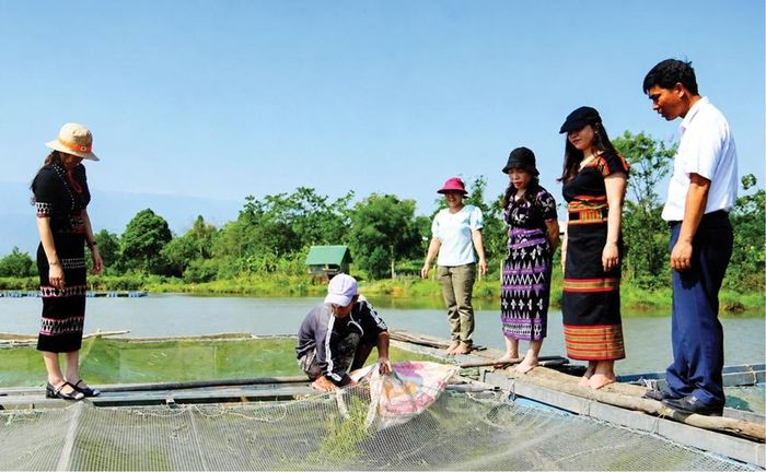 Nuôi cá lồng trên đập thủy điện A Rưng - hướng phát triển kinh tế mới của anh Hồ Văn Thắng.