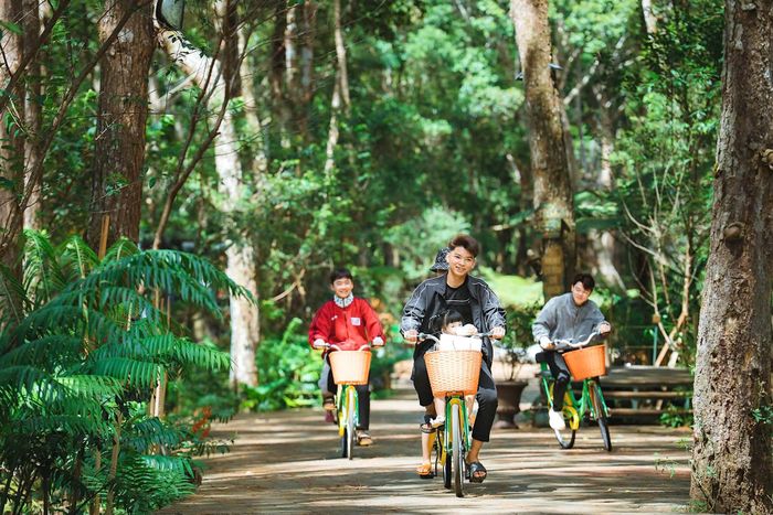 Khách du lịch trải nghiệm tại Măng Đen Treehouse.
