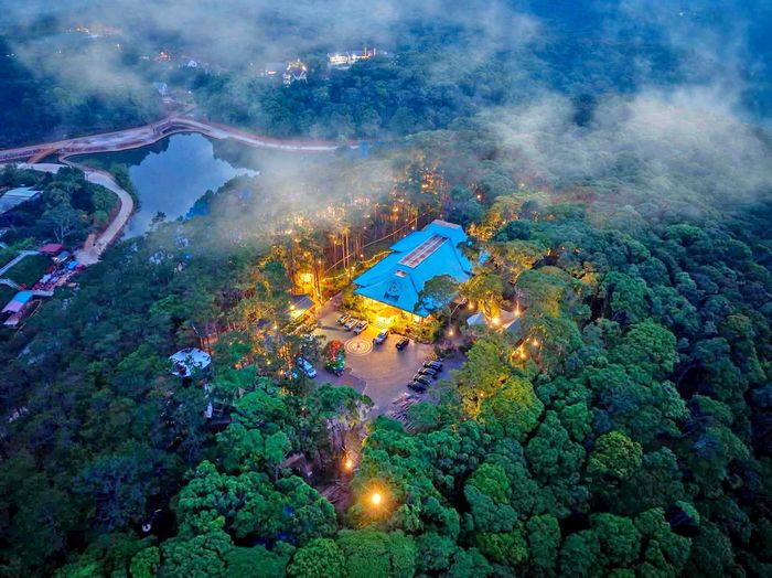 Khu nhà trên cây Măng Đen Treehouse là một trong 5 đại diện của Việt Nam lọt vào đề cử Làng du lịch tốt nhất thế giới.