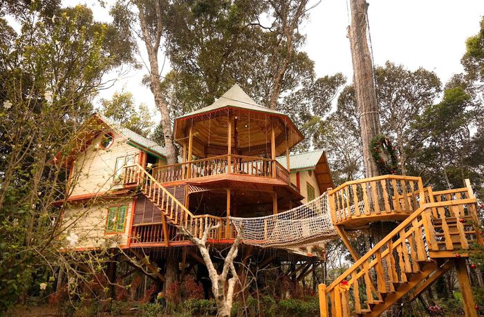 Một căn nhà trong Măng Đen Treehouse.