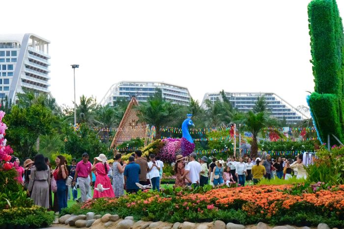 Vùng biển khu vực phía đông Gia Lai thu hút du khách với những không gian đẹp.