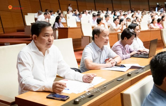 Các đại biểu dự hội nghị