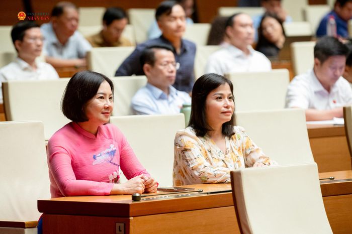 Các đại biểu dự hội nghị