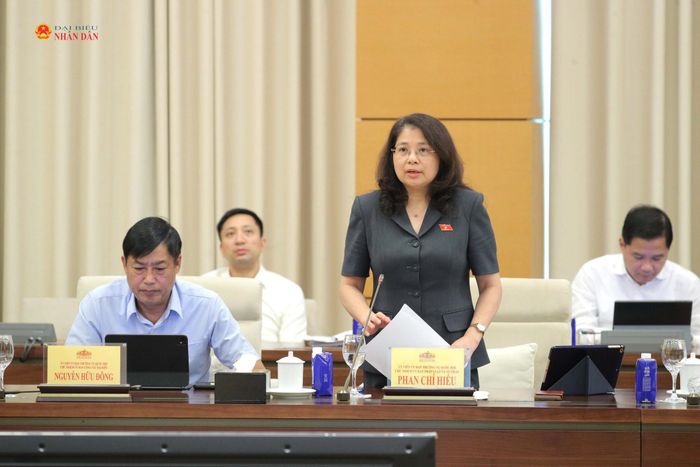 Phó Chủ nhiệm Ủy ban Pháp luật và Tư pháp Trần Hồng Nguyên phát biểu