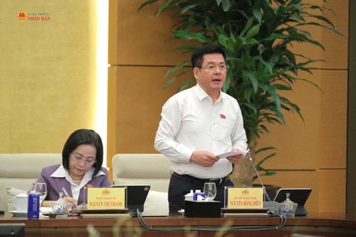 Phó Chủ tịch Quốc hội Nguyễn Hồng Diên phát biểu