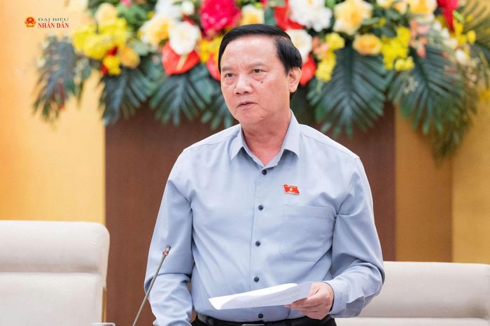 Phó Chủ tịch Quốc hội Nguyễn Khắc Định phát biểu