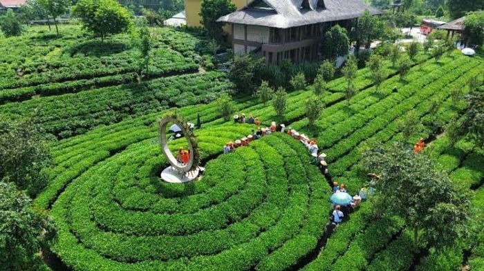Ngày càng có nhiều du khách lựa chọn kỳ nghỉ tại các trang trại, nông trại.