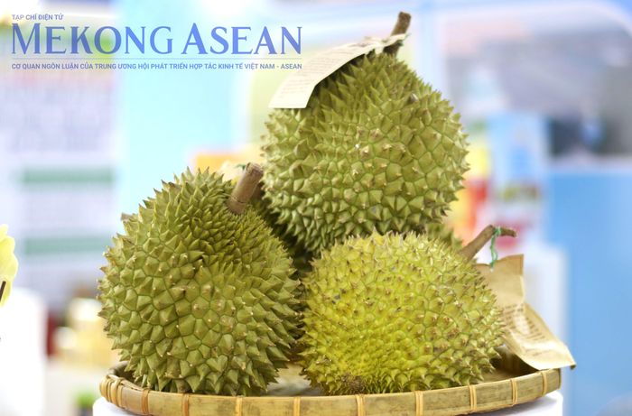 Ảnh minh họa: Lê Hồng Nhung - Mekong ASEAN
