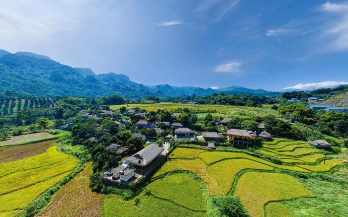 Mùa lúa chín ở Xóm Mỗ, Hòa Bình