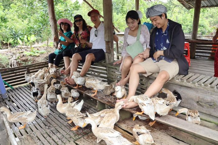 Du khách thích thú khi đến tham quan, trải nghiệm du lịch miệt vườn tại Cần Thơ.