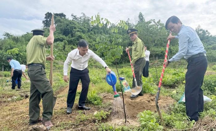  Các đại biểu tham gia trồng cây tại Khu di tích Ban Tổ chức Khu ủy - Khu V. 