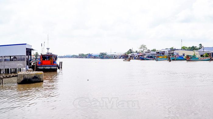 Cửa biển Khánh Hội bị bồi lắng, không chỉ ảnh hưởng hoạt động khai thác, mua bán thuỷ sản mà còn không thuận lợi cho tàu cá vào khu neo đậu tránh trú bão.