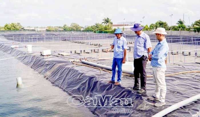 Khu nuôi tôm siêu thâm canh của ông Trần Văn Mộng được đầu tư bài bản nhằm giảm tác động của các loại hình thời tiết, đảm bảo năng suất.