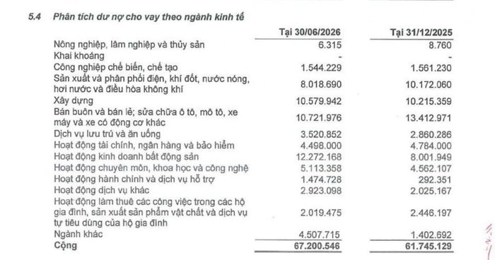 Dư nợ nhóm hoạt động chuyên môn, khoa học và công nghệ là 5.113 tỷ đồng, thấp hơn nhóm kinh doanh bất động sản 12.272 tỷ đồng. Nguồn: Báo cáo tài chính giữa niên độ soát xét sáu tháng đầu năm 2026.