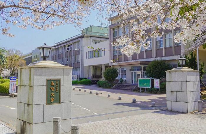 Một nhóm nghiên cứu tại Đại học Nagasaki từng thu thập khoảng 5.000 cá thể cá nóc hổ được nuôi trong lồng lưới tại bảy tỉnh sản xuất trọng điểm để kiểm nghiệm độc tính