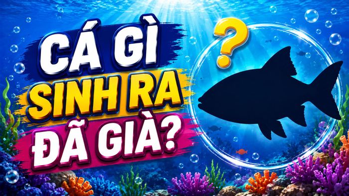 Đáp án sẽ trở nên đơn giản hơn khi người chơi tìm đúng hướng suy luận. (Ảnh: AI)