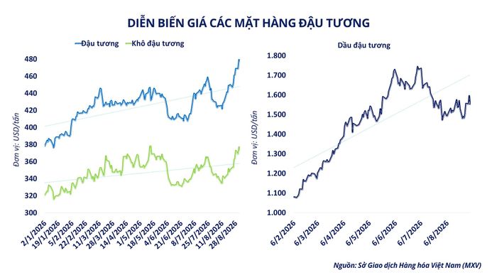 Diễn biến giá các mặt hàng đậu tương. Nguồn: MXV