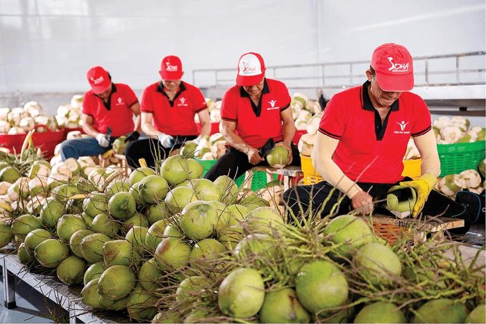 Rau quả đã trở thành một trong những ngành hàng xuất khẩu có tốc độ tăng trưởng mạnh. Ảnh: PV