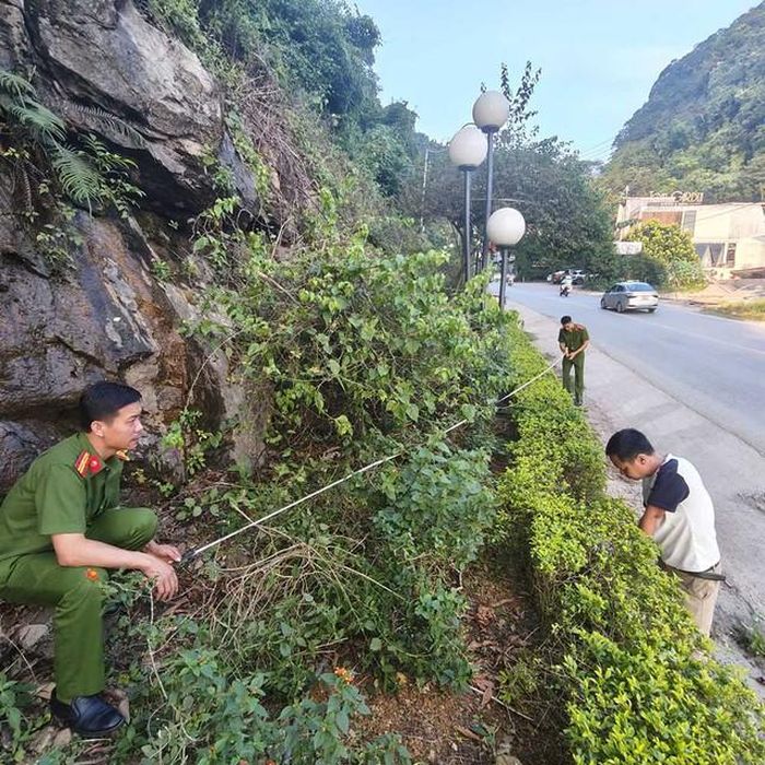 Cơ quan CSĐT Công an tỉnh và lực lượng chức năng tiến hành thực nghiệm điều tra vụ việc. Ảnh: Công an tỉnh Sơn La