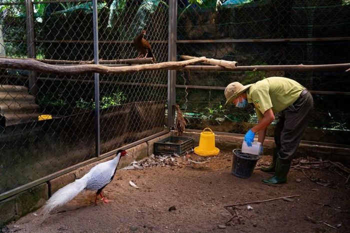 Các loài động vật được chăm sóc tại Trung tâm Cứu hộ, Bảo tồn và Phát triển sinh vật. Ảnh: VQGBM cung cấp.