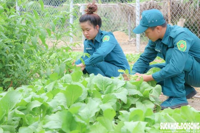 Chiến sĩ trẻ Mai Hà My cùng đồng đội chăm sóc vườn rau. Ảnh: Duy Ngọc.