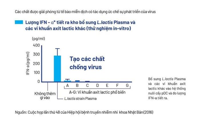 - Cơ chế kích hoạt tế bào miễn dịch pDC của Postbiotic L.Lactis Plasma