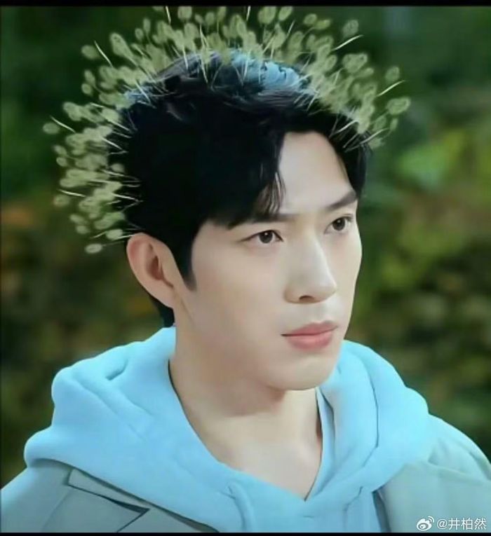 Fan chế meme Luke và cỏ đuôi chó vì cả hai đều hợp với Thượng Chi Đào.