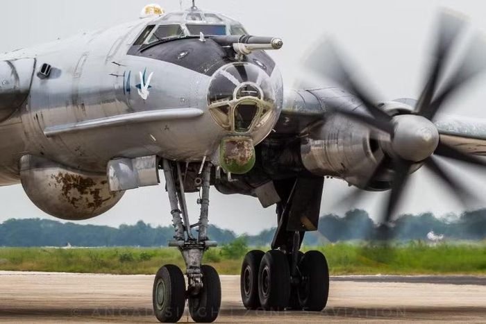 Tu-142 lại được đưa vào lực lượng không quân hải quân. Nhiệm vụ trọng tâm của nó là tìm kiếm và phát hiện tàu ngầm. Máy bay mang các hệ thống cảm biến và thiết bị chống ngầm để tuần tra trên những vùng biển rộng.