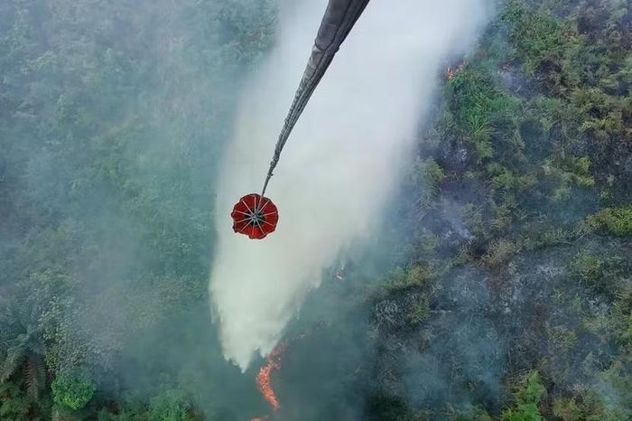 Trực thăng thả nước để dập tắt đám cháy rừng lan rộng trên cánh đồng than bùn ở Danau Lamo, tỉnh Jambi, Indonesia