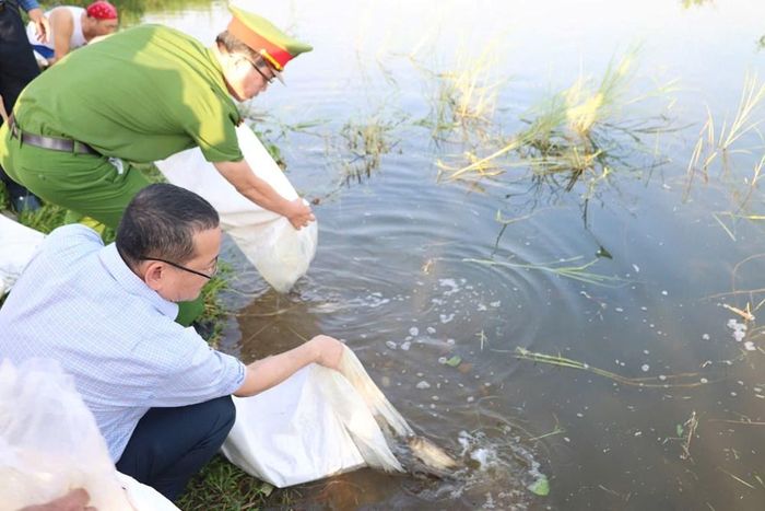 Lãnh đạo Sở Nông nghiệp và Môi trường cùng đại biểu thực hiện nghi thức thả cá tái tạo nguồn lợi thủy sản trên sông Trà Khúc