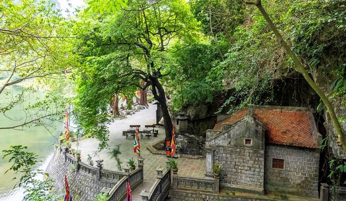Cây thị nghìn năm tại Phủ Khống vẫn xanh tốt và mỗi năm cho 1 loại quả tròn, 1 loại quả dẹt