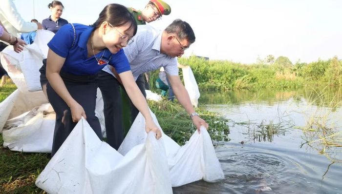 Hơn 5.000 con cá giống được thả trên sông Trà Khúc. (Ảnh: KIM HUYỀN)