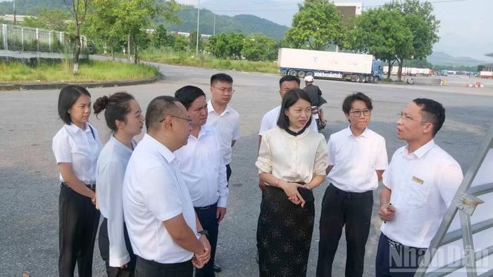 Đại diện Ban Quản lý Khu kinh tế tỉnh Lào Cai và Văn phòng cửa khẩu, Chính quyền nhân dân huyện Hà Khẩu khảo sát khu vực Cửa khẩu quốc tế đường bộ số II Kim Thành, tỉnh Lào Cai. (Ảnh: CÔNG HẢI)